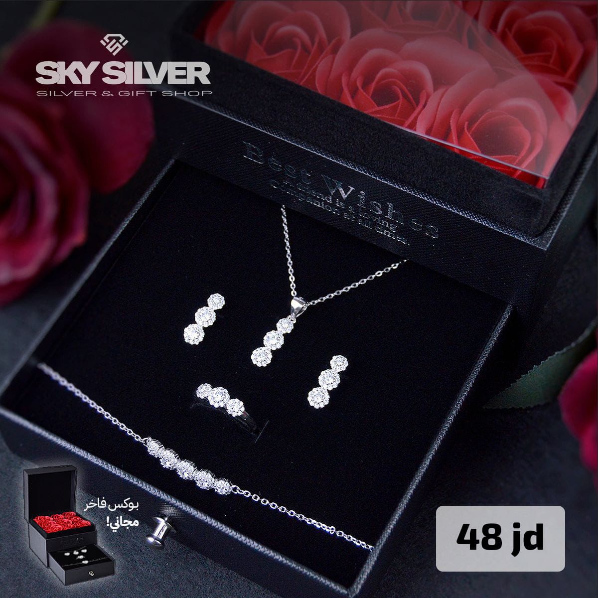Elegant silver set