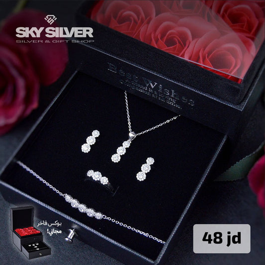 Elegant silver set