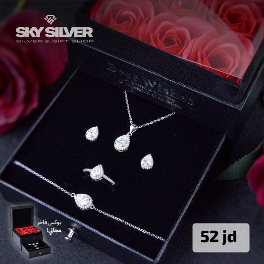 Elegant silver set