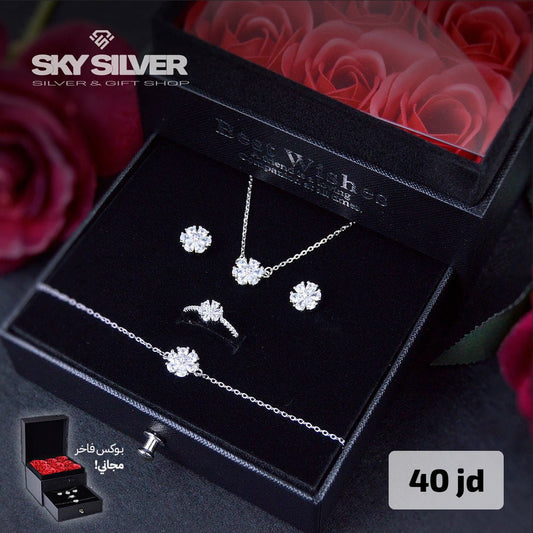 Elegant silver set